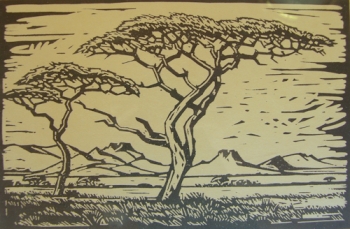 wilde seringboom - J H  Pierneef
301 x 200 mm linocut  SOLD
